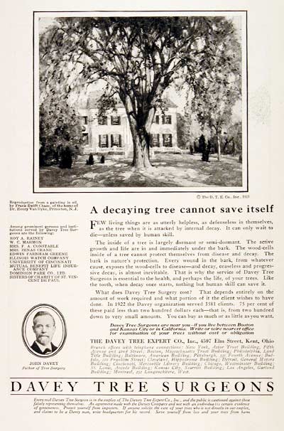 1923 Davey Tree Surgeons #003152