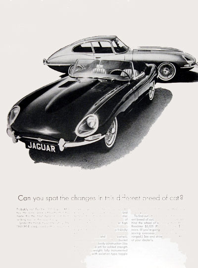 1965 Jaguar XK-E Convertible & Coupe Vintage Ad #004615