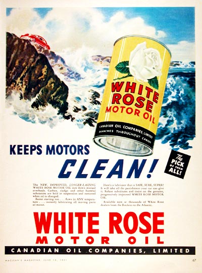 1951 White Rose #002229