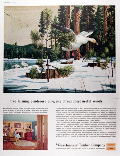 1957 Weyerhaeuser Timber Co. #014647