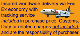 Fed Ex Global Delivery